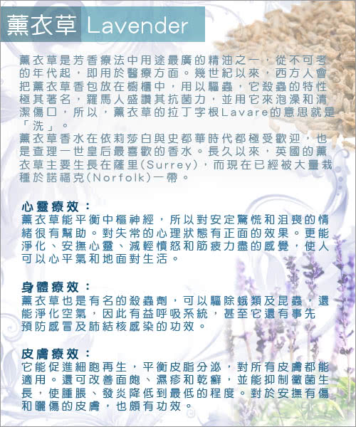 【ReVe 蕾芙】法系Lavender薰衣草芳香舒眠枕(三色)