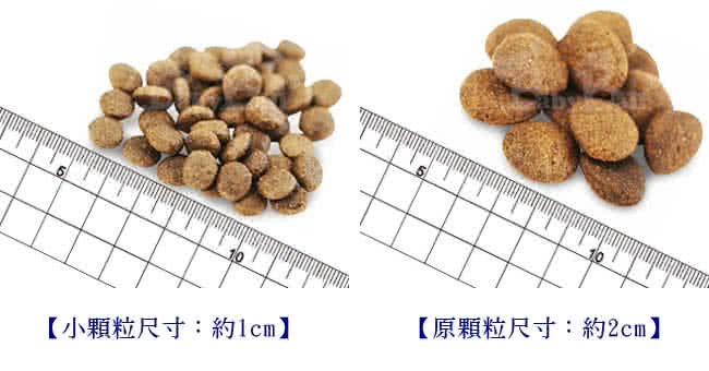 【海洋之星】新強化升級配方(成犬300g)