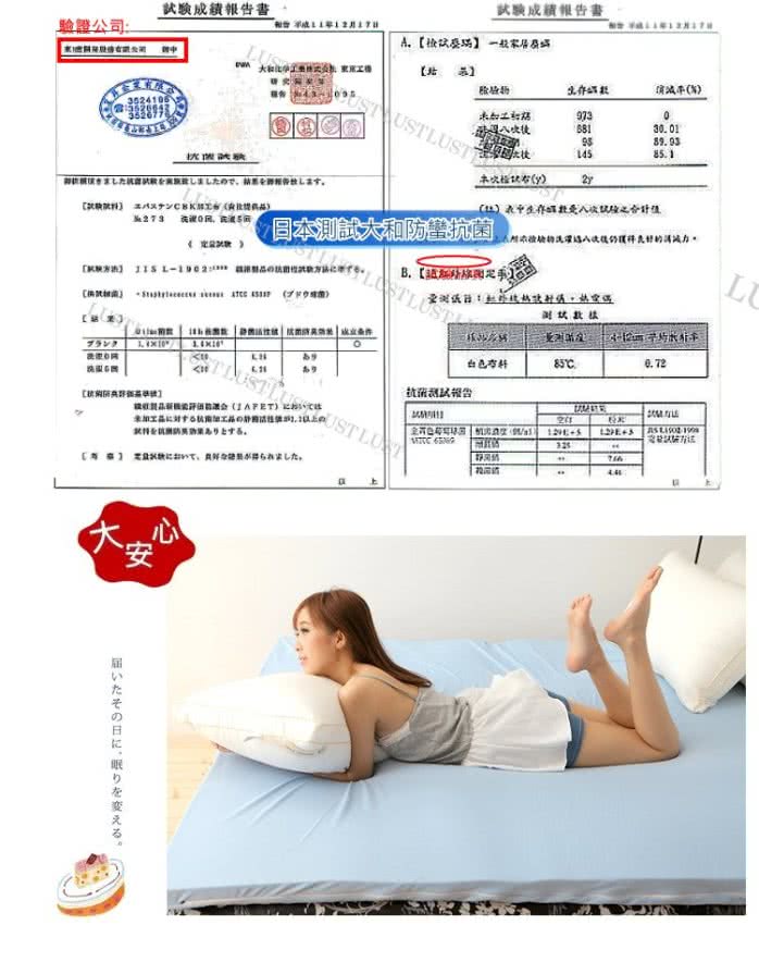 【Lust 生活寢具 台灣製造】《四孔抗菌棉枕》日本大和防蠻抗菌棉台灣製造兩顆裝正4孔棉(米白色)