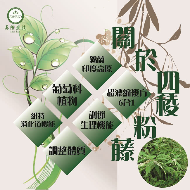 【美陸生技AWBIO】6合1四稜粉藤Cissus(經濟包 60粒/盒)