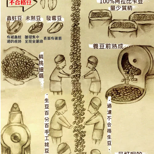 【LODOJA裸豆家】經典綜合莊園阿拉比卡手挑精品咖啡豆(227g)