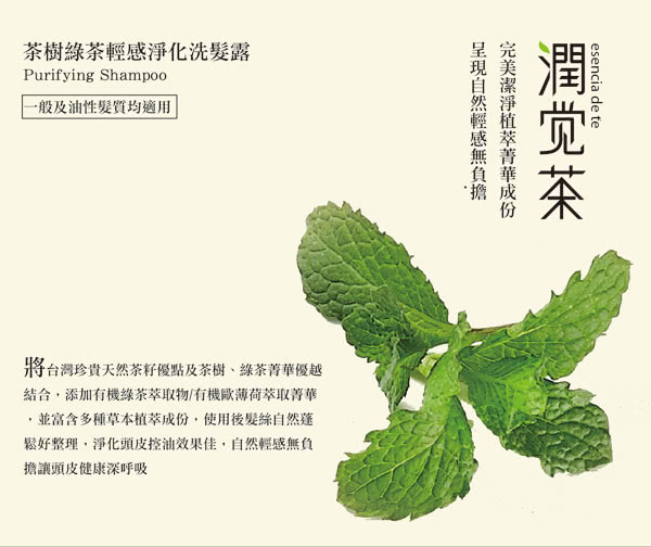 【茶寶 潤覺茶】茶樹綠茶輕感淨化洗髮露350ml(3瓶組)