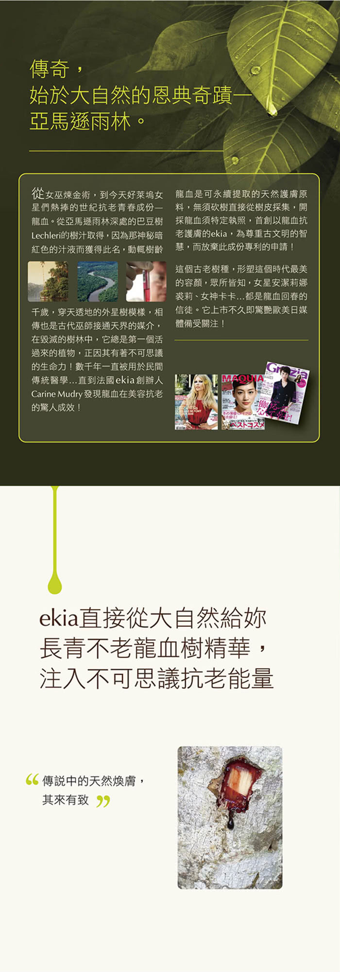 【法國ekia】龍血特效 抗皺再生霜30ml(二號)