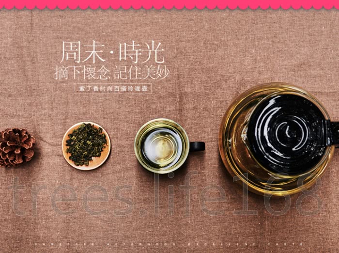 【kiyodoy紫丁香】12人份1700mlX2入 沖泡壺/咖啡壺+贈泡茶杯4入(隨機出貨)