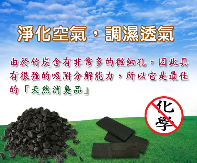 【源之氣】台灣精選竹炭脫臭包 500g/3入 RM-9456