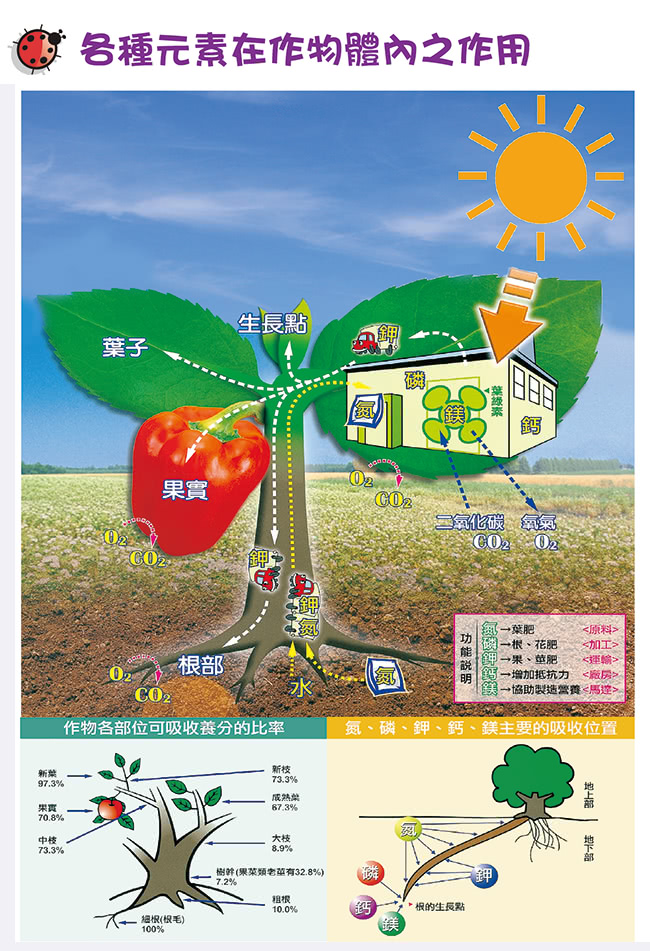 【花公主】有機質培養土(6L)