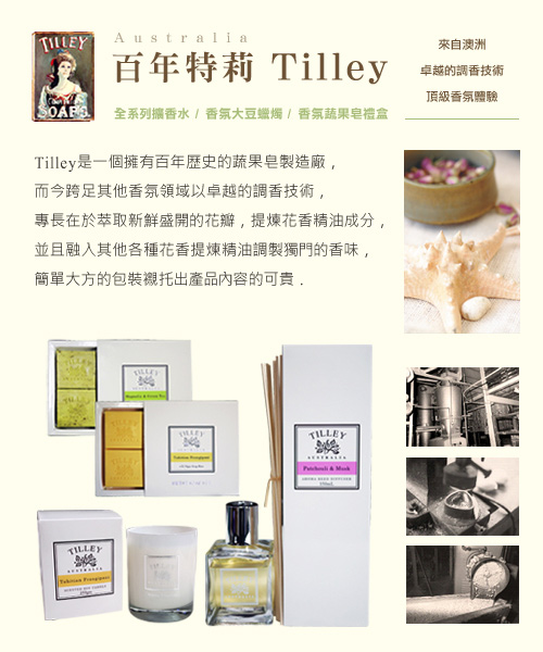 【Tilley百年特莉】橙花香氛水竹精油擴香水(150ml)