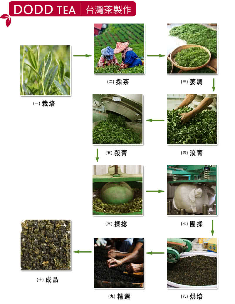 【杜爾德洋行】桂花高山烏龍茶(15入)