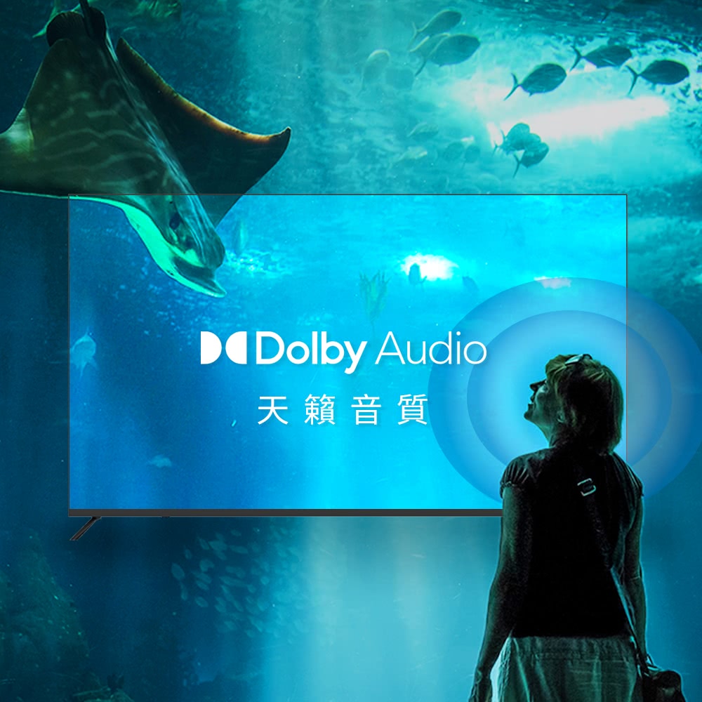 DigiKing數位新貴 DK-G43FM33 - 詳情10