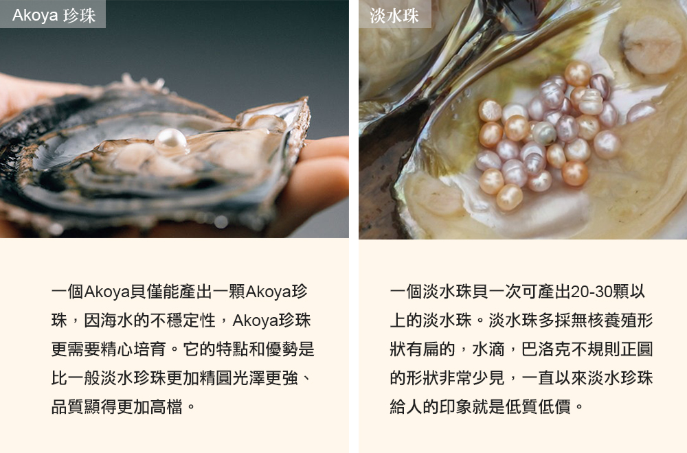 一個Akoya貝僅能產出一顆Akoya珍