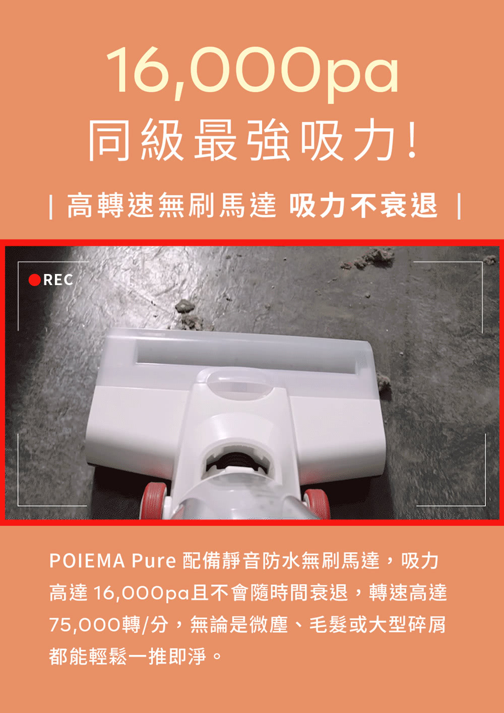 POIEMA P56 - 詳情3