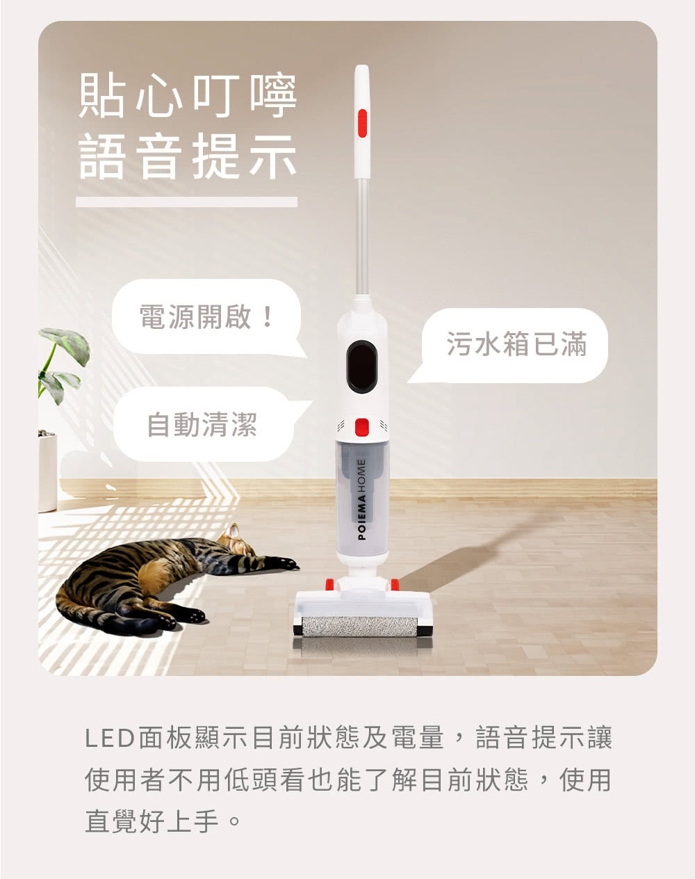 POIEMA P56 - 詳情10