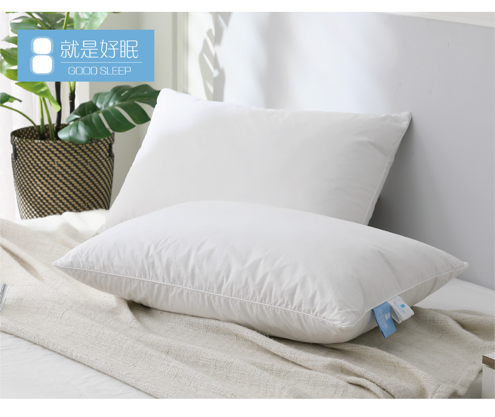 就是好眠 舒服好眠100%天然羽毛枕 JIS 10/90 / 就是好眠 舒服好眠100%天然羽毛枕 JIS 10/90 /