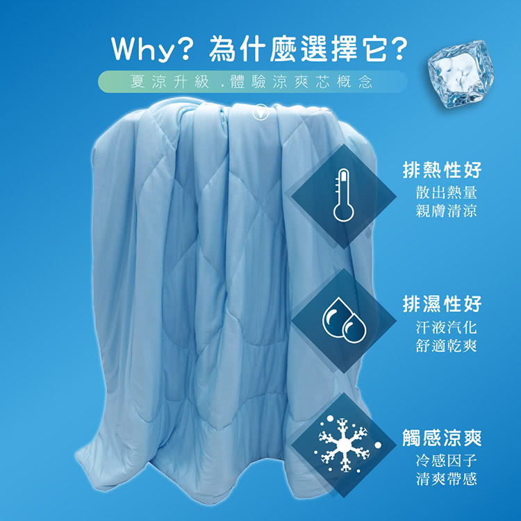 Victoria 銀離子涼感涼被(涼感紗材質清涼舒適)好評推 Victoria 銀離子涼感涼被(涼感紗材質清涼舒適)好評推