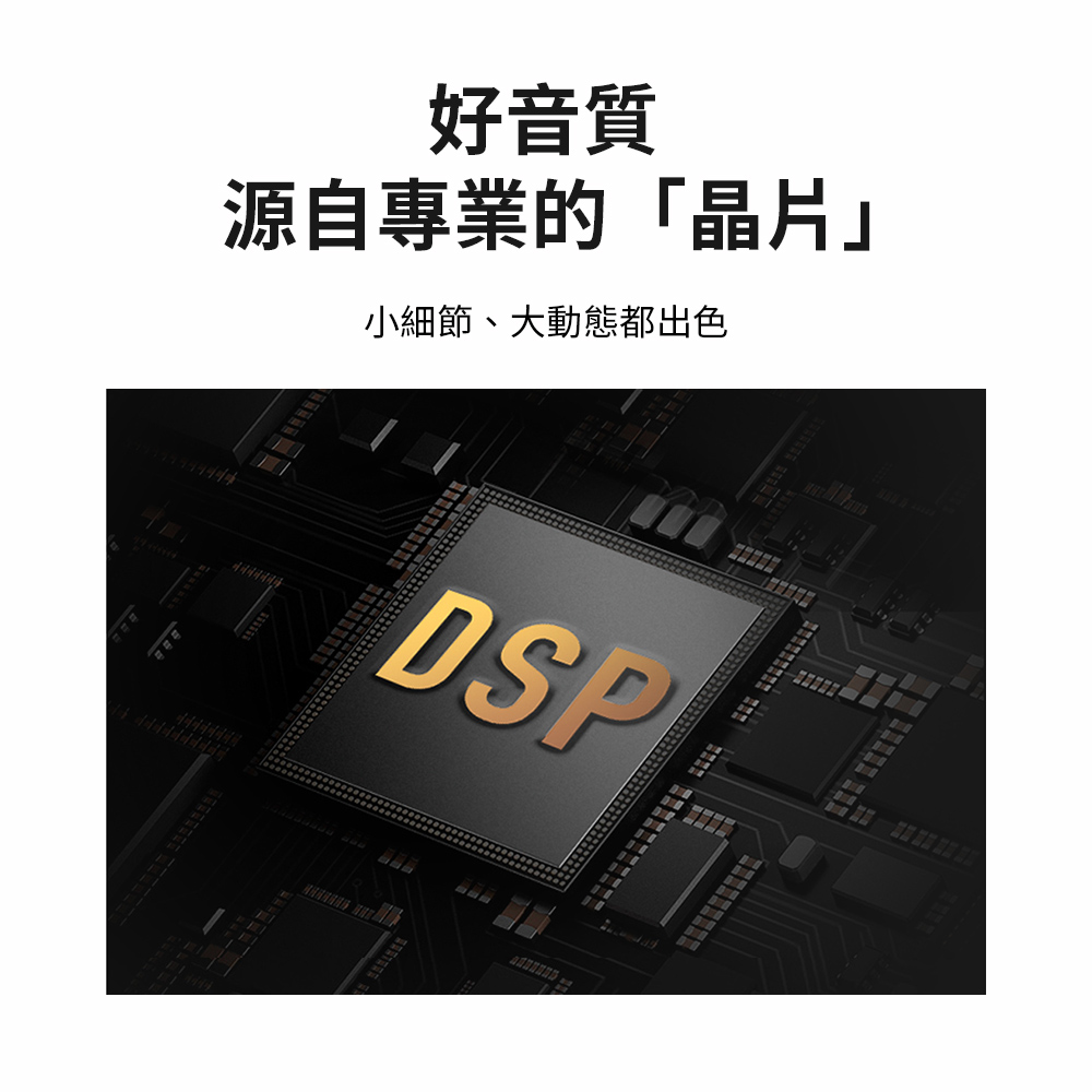 好音質 源自專業的晶片 小細節、大動態都出色
