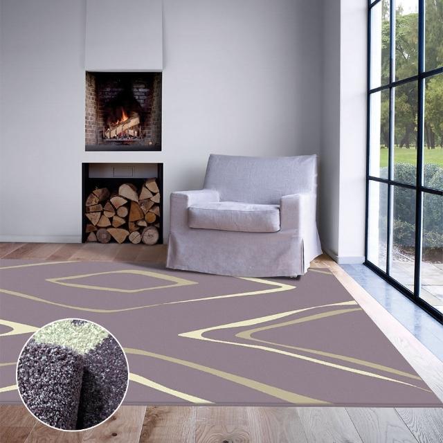 【范登伯格】艾斯 簡約風進口地毯-藝術(160x230cm)