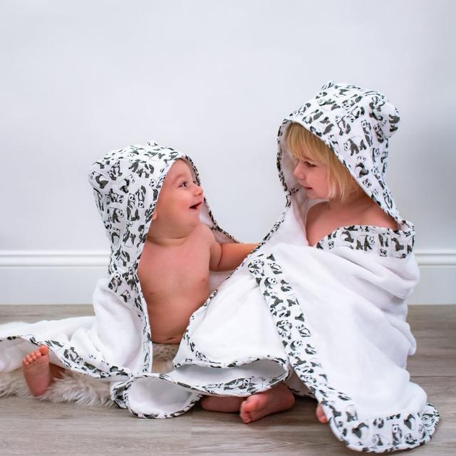 【美國 Bebe Au Lait】純棉造型嬰幼兒浴巾-保暖毯(小恐龍系列)