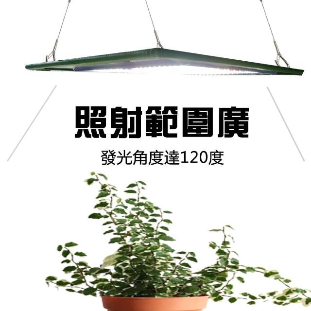 Jiunpey 君沛 燈板系列150瓦吊掛式雙色光譜植物燈植物成長專用燈 植物生長燈 Momo購物網
