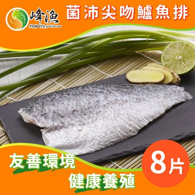 【峰漁安心水產】無毒 無刺 菌沛尖吻鱸魚排-8片組(產銷履歷金目鱸魚)