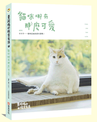 貓咪哪有那麼可愛