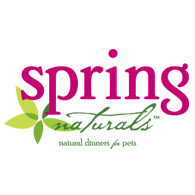spring 曙光