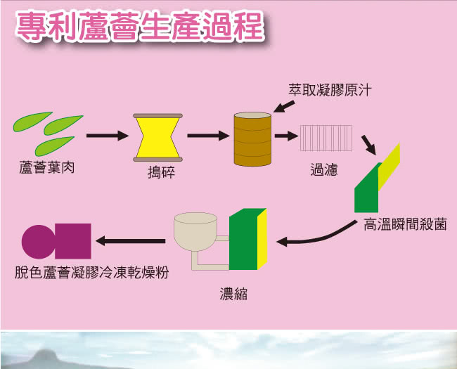 【御松田】膠原蛋白+益生菌粉末_優酪乳口味(2GX30包)