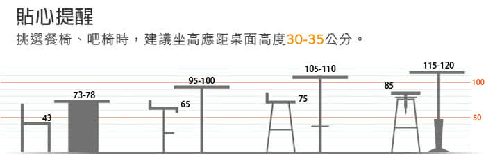 【雅莎居家生活館】北歐風餐椅復刻版(1061)