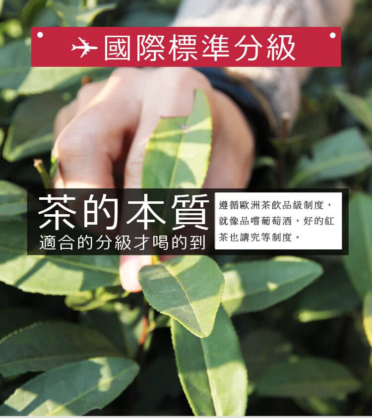遵循歐洲茶飲品級制度,