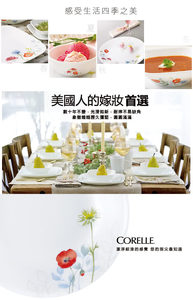 【美國康寧 CORELLE】花漾彩繪6吋平盤(106)