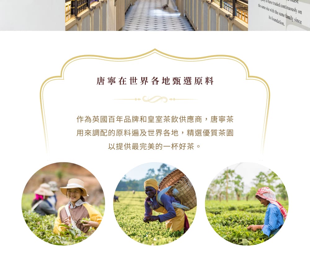 唐寧在世界各地甄選原料 作為英國百年品牌和皇室茶飲供應商,唐寧茶 用來調配的原料遍及世界各地,精選優質茶園 以提供最完美的一杯好茶。 
