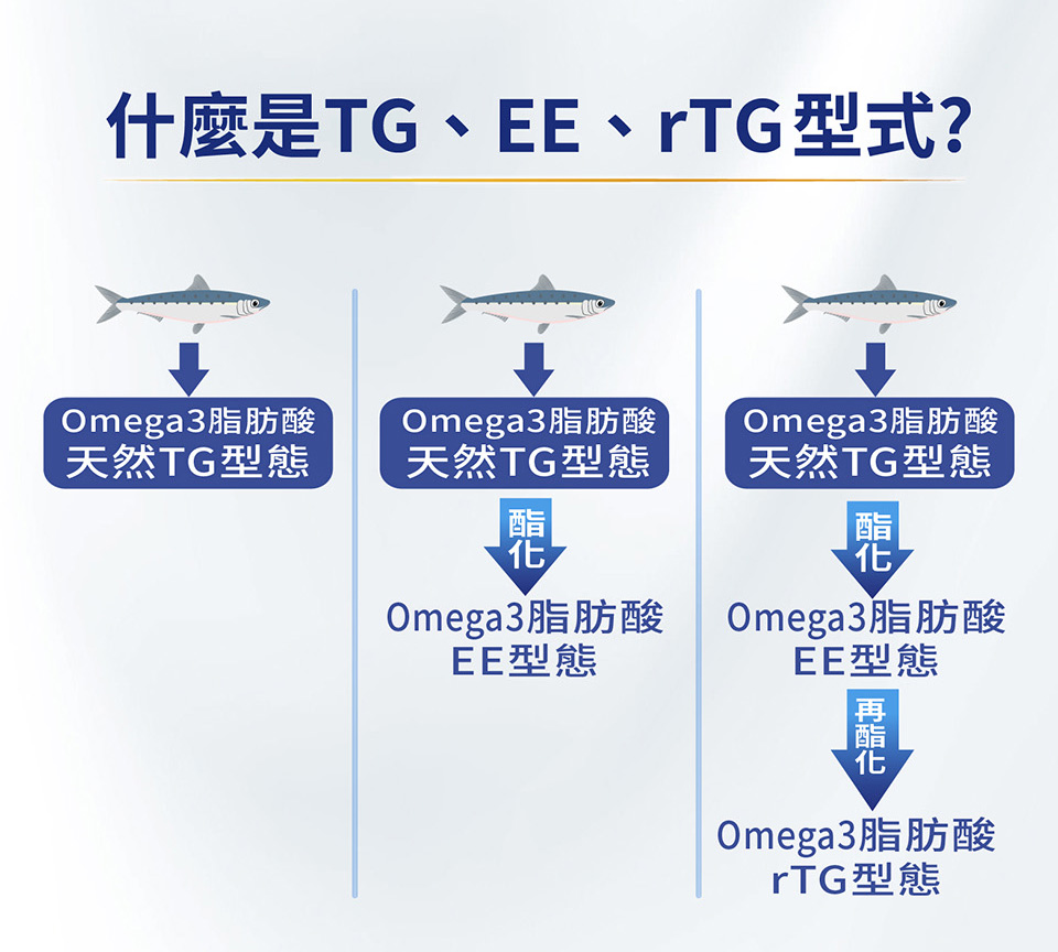 什麼是TG、EE、rTG型式