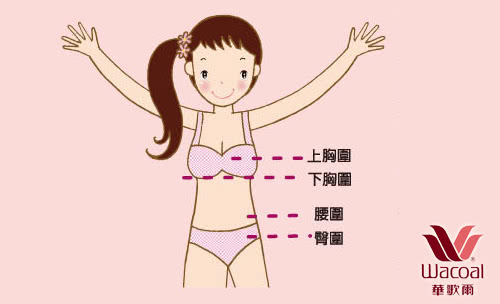 -上胸圍下胸圍腰圍·臀圍Wacoal華歌爾