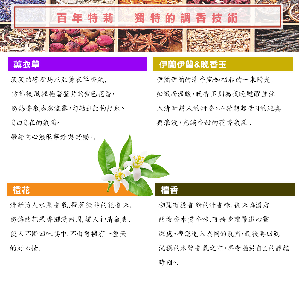 沉穩的木質香氣之中,享受屬於自己的靜謚