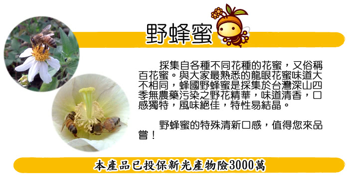 【蜂國蜂蜜莊園】多層次風味-野蜂蜜700g(3瓶組)