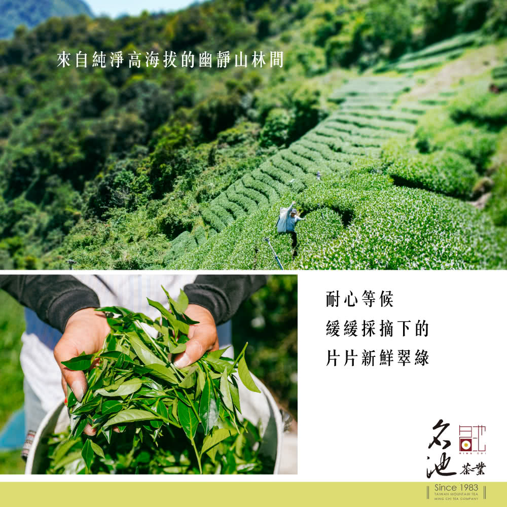 ä¾èªç´æ·¨é«æµ·æçå¹½éå±±æé èå¿ç­å ç·©ç·©æ¡æä¸ç ççæ°é²ç¿ ç¶  æå° 