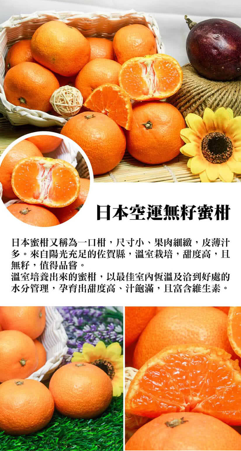 rbmg.jpg?t=1588919800102