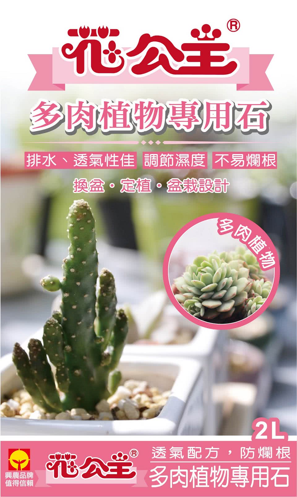 花公主 多肉植物專用石2l Momo購物網 花公主 多肉植物專用石2l Momo購物網