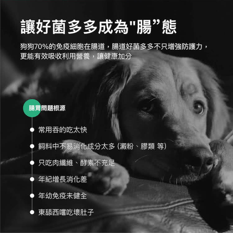 木入森 犬寶變不臭狗狗益生菌15包 盒 提升腸道消化機能增進腸內菌叢平衡 Momo購物網