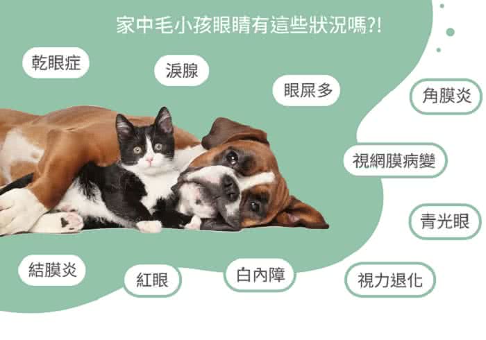 Lucky La 寵物專用葉黃素 膠囊 Momo購物網 Lucky La 寵物專用葉黃素 膠囊 Momo購物網