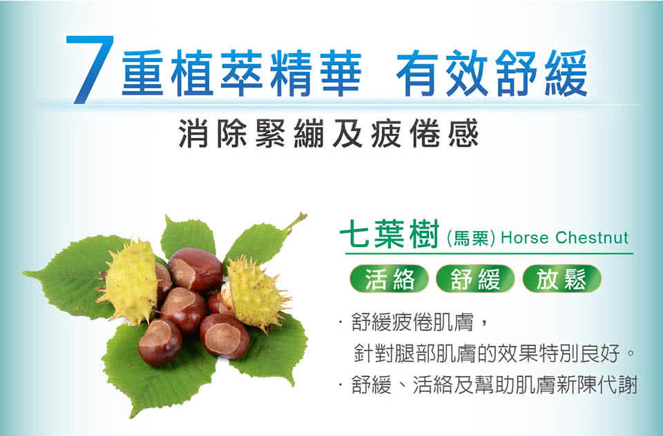 七葉樹 馬栗 Horse Chestnut