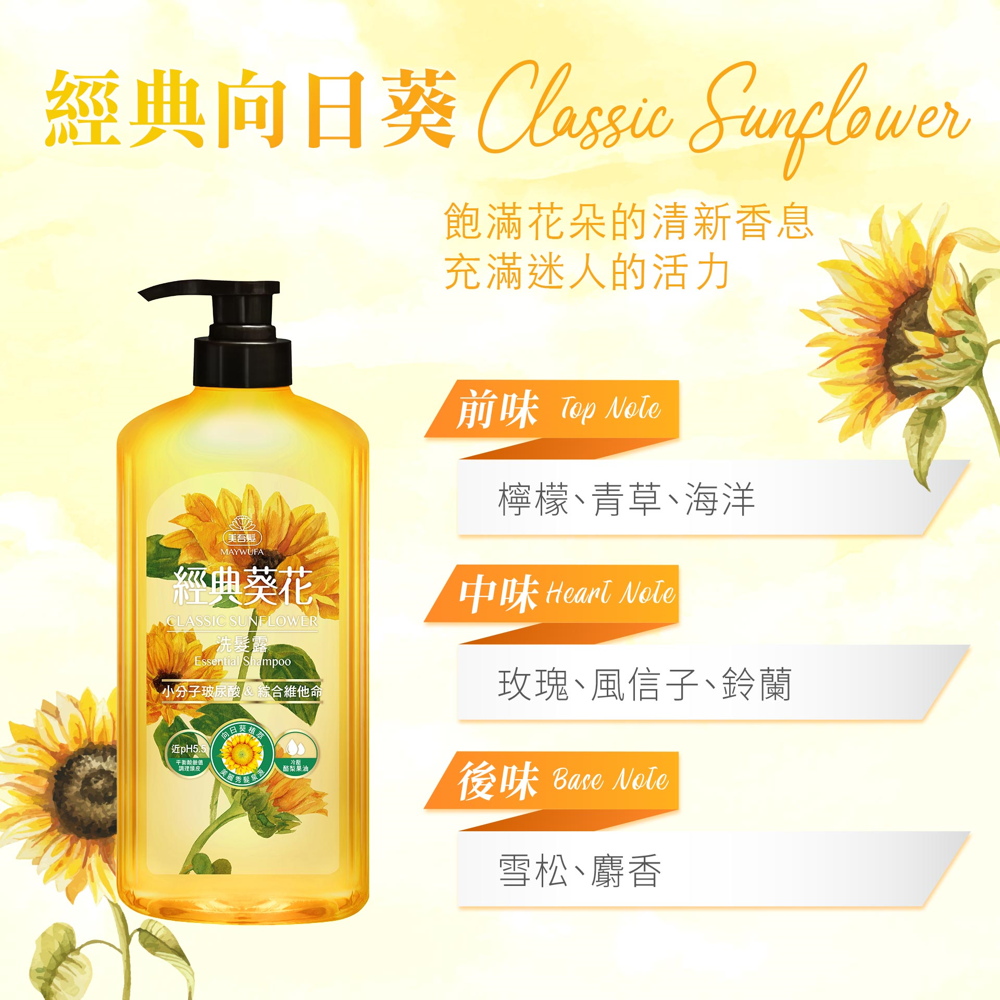 經典向日葵 Classio Sunflower