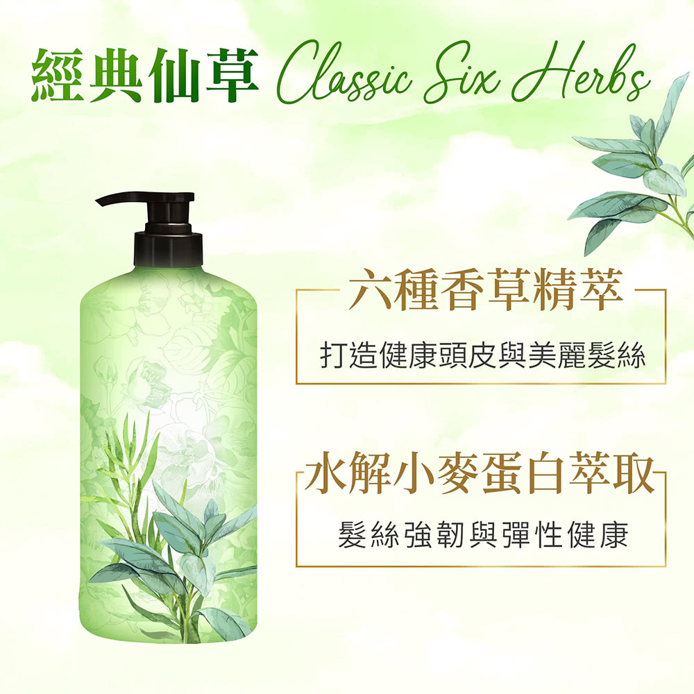 經典仙草 Classic Sin Herbs 六種香草精萃 打造健康頭皮與美麗髮絲 水解小麥蛋白萃取 髮絲強韌與彈性健康 