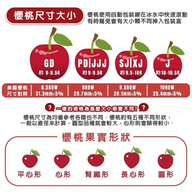 尺寸對照 31.3mm5% 29.7mm5% 28.1mm5%
