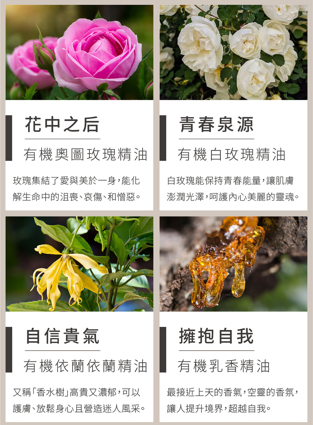 解生命中的沮喪、哀傷、和憎惡。