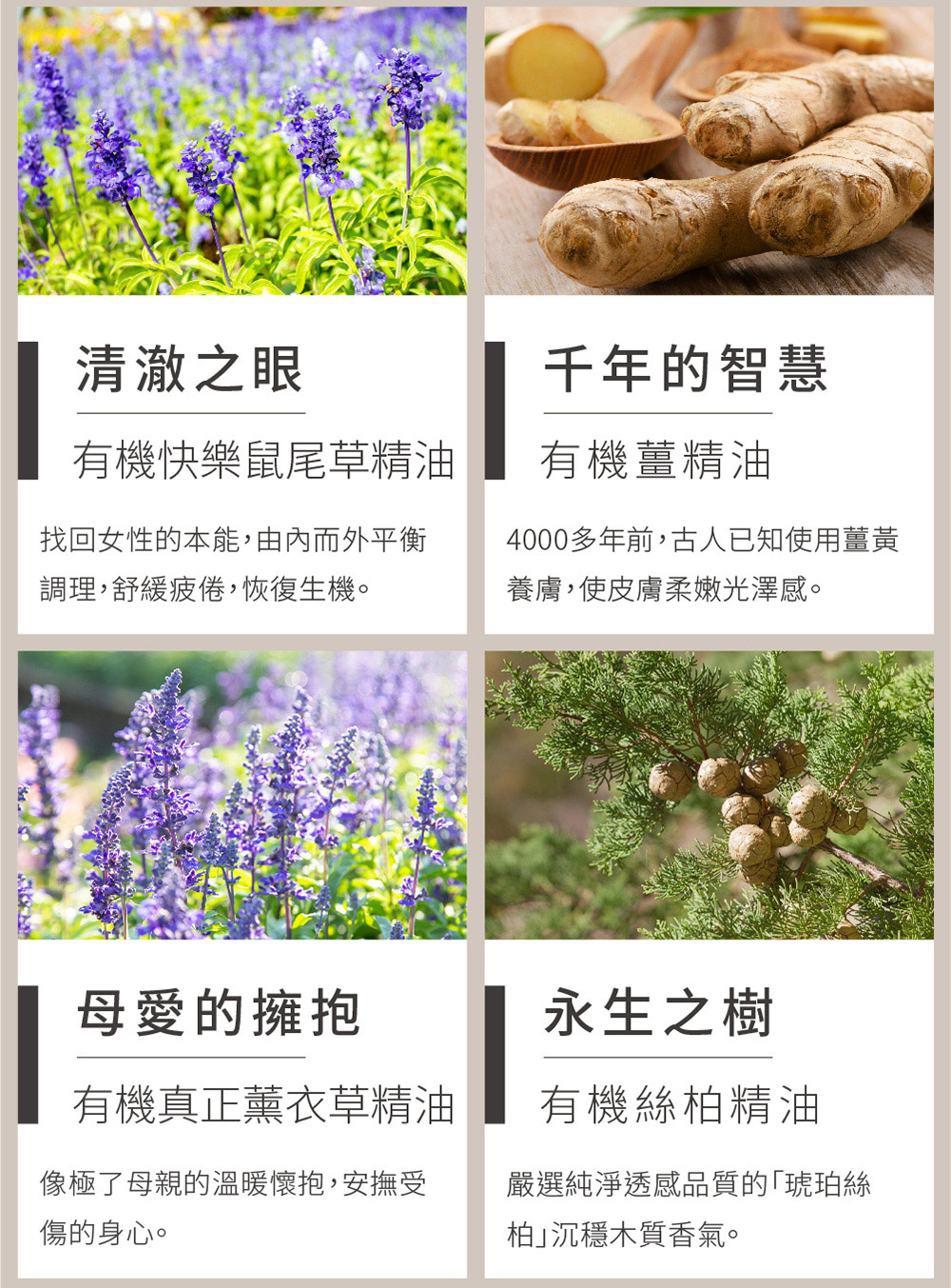 4000多年前,古人已知使用薑黃