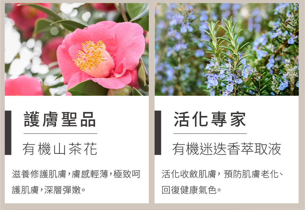 滋養修護肌膚,膚感輕薄,極致呵