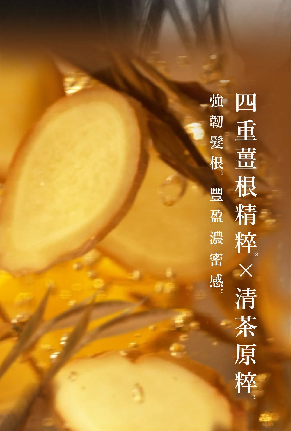 四重薑根精粹x清茶原粹 強韌髮根 豐盈濃密感 