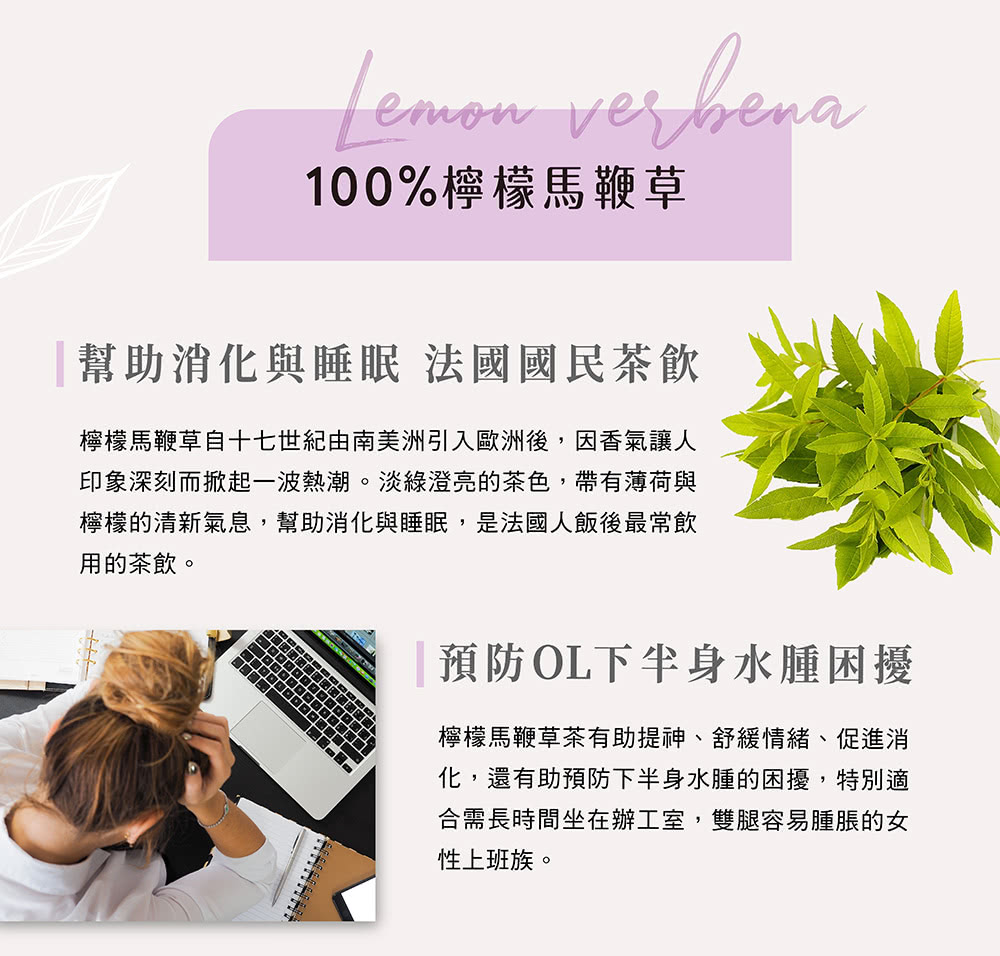 檸檬馬鞭草自十七世紀由南美洲引入歐洲後,因香氣讓人