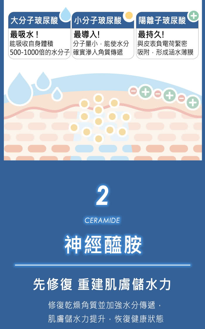5001000倍的水分子 確實滲入角質傳遞