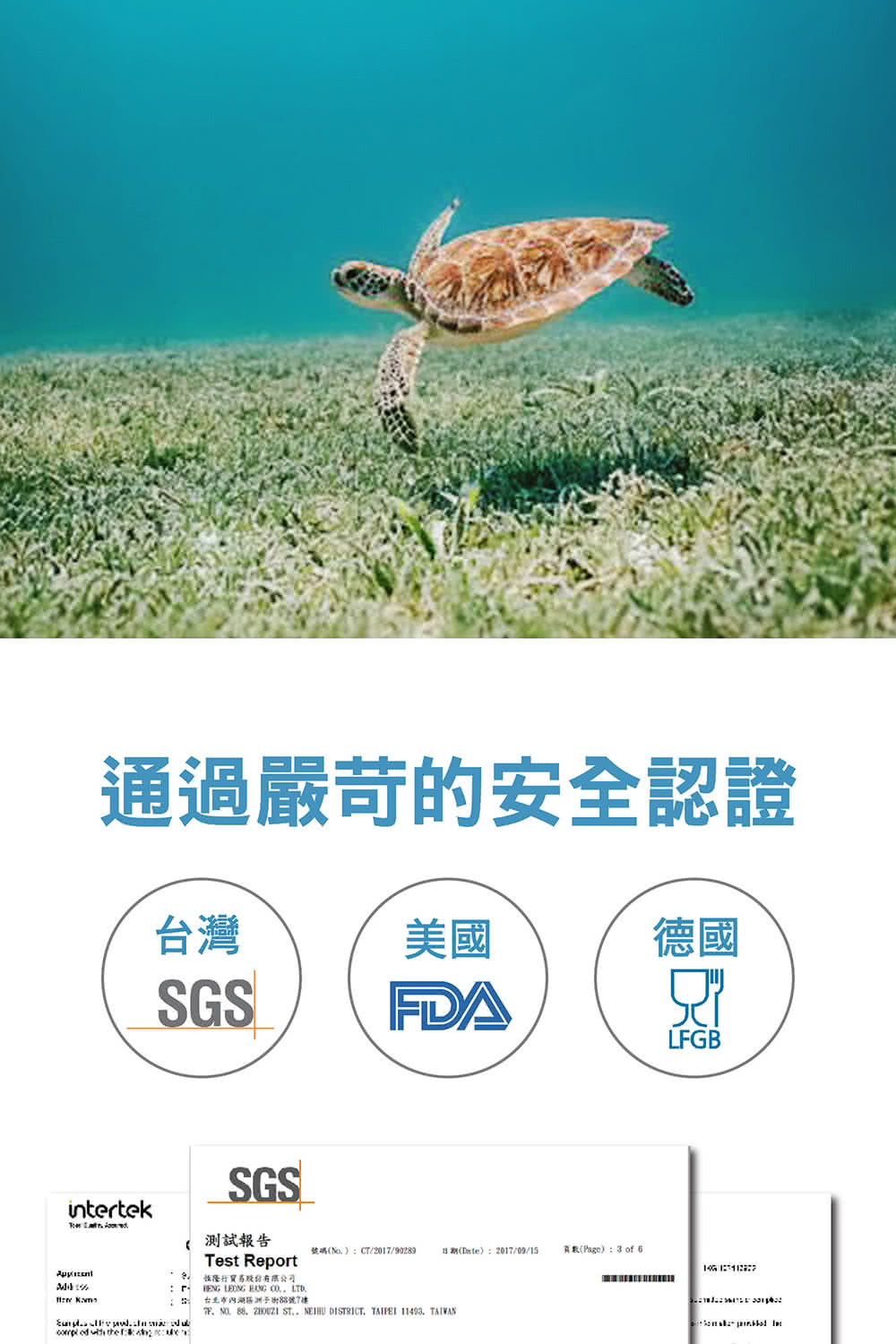 號碼No.CT201790289 日期Date20170915